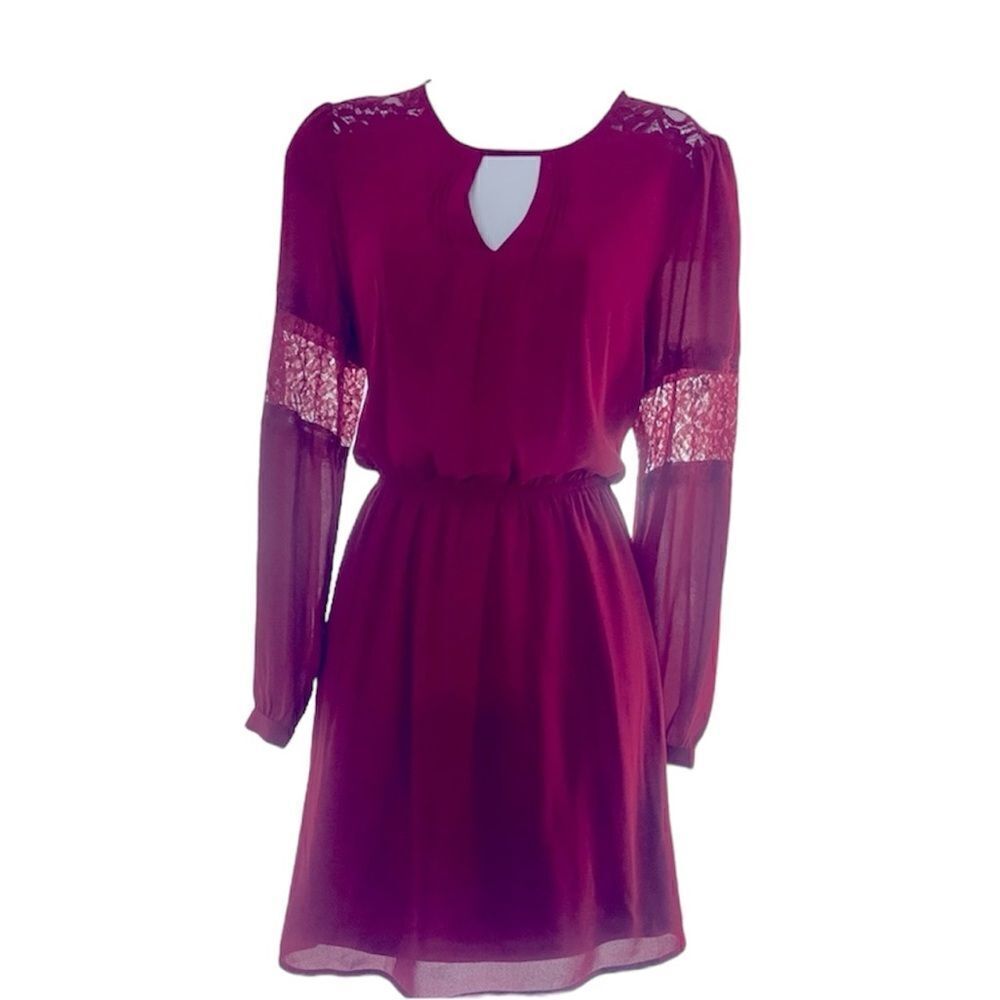 Express Small Dress with Lace Insert